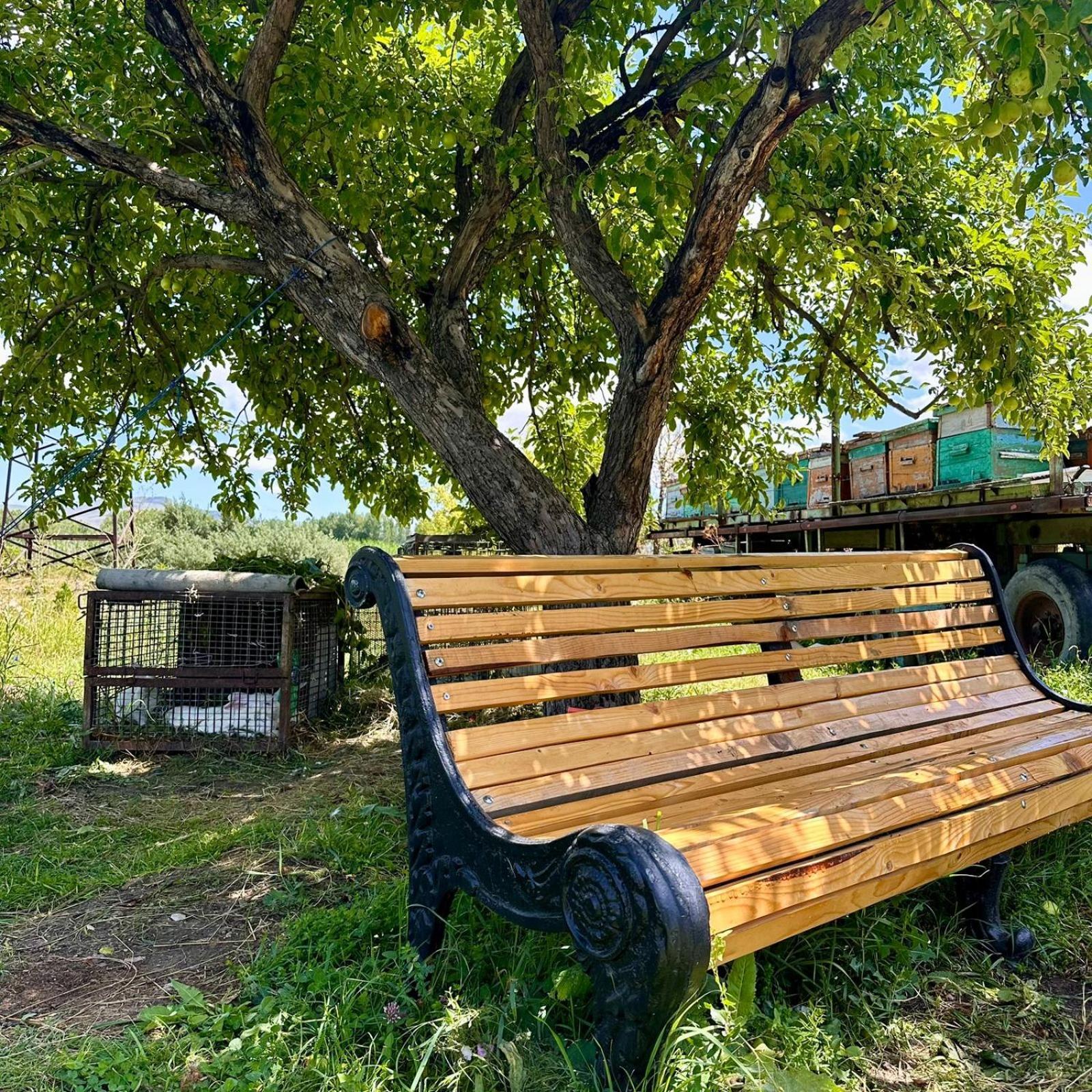דירות גיומרי Eco House מראה חיצוני תמונה