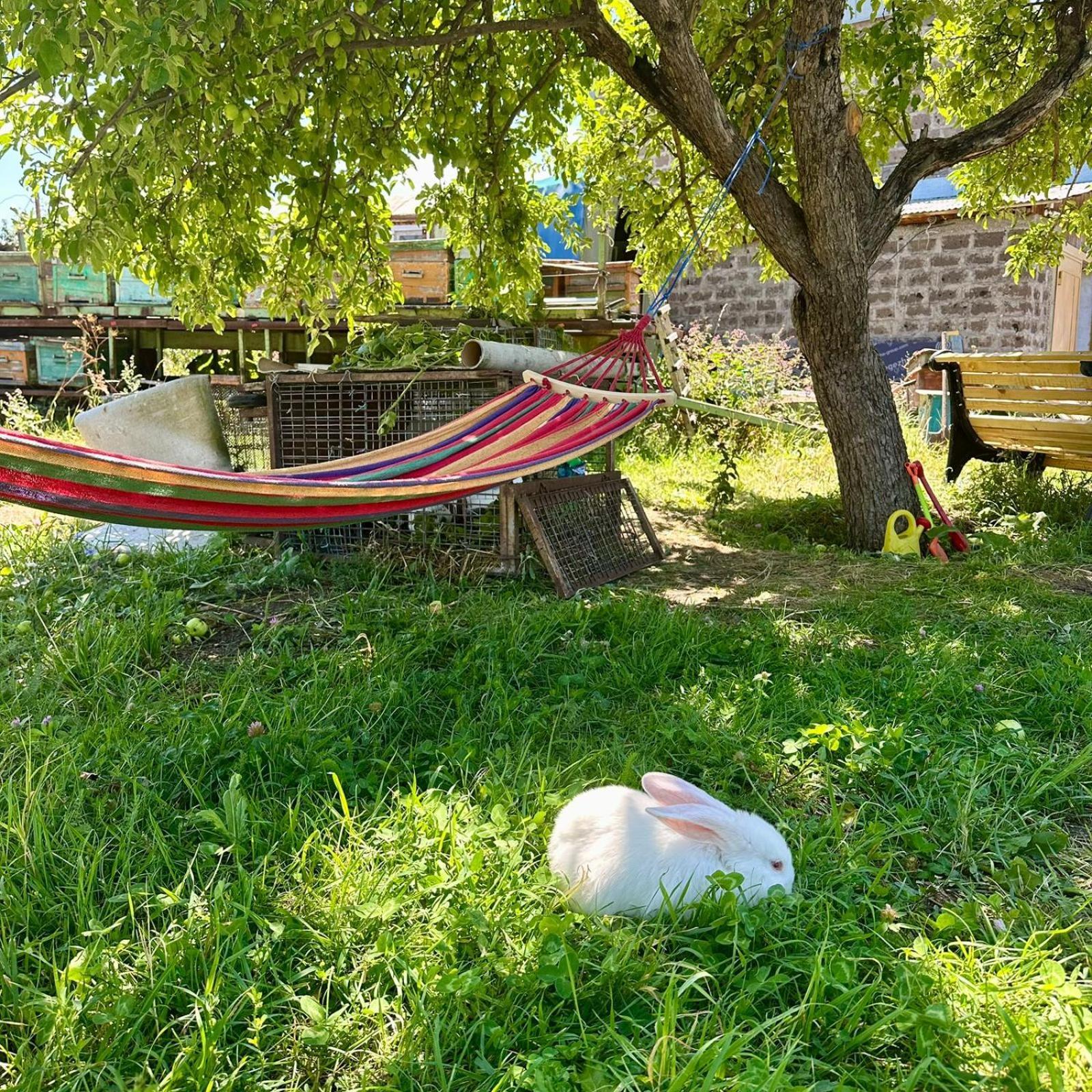 דירות גיומרי Eco House מראה חיצוני תמונה